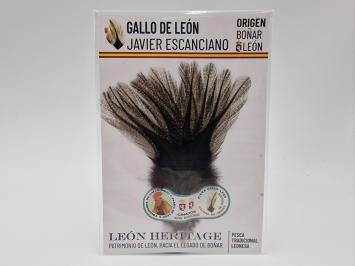 Coq de Leon Pardo Silver Short Saddle - Corzuno Dark