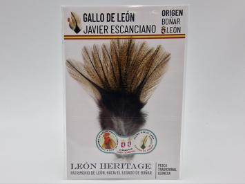 Coq de Leon Pardo Silver Short Saddle - Golden Light
