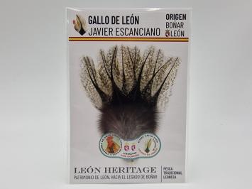 Coq de Leon Pardo Silver Short Saddle - Corzuno Light