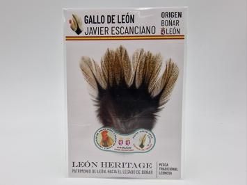 Coq de Leon Pardo Bronze Short Saddle - Burnt Orange Light