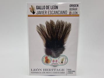 Coq de Leon Pardo Bronze Short Saddle - Golden Dark