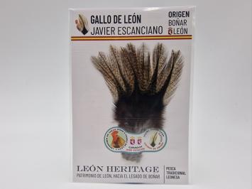 Coq de Leon Pardo Bronze Short Saddle - Golden Medium