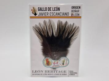 Coq de Leon Pardo Bronze Short Saddle - Corzuno Dark