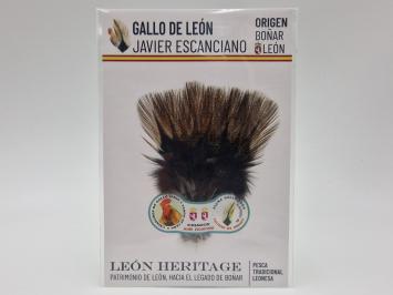 Coq de Leon Pardo Bronze Riñón Back - Burnt Orange Dark