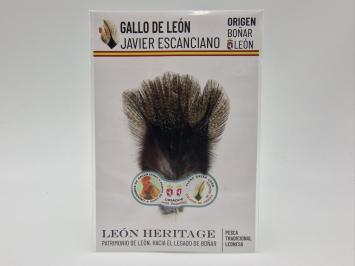 Coq de Leon Pardo Bronze Riñón Back - Corzuna Dark