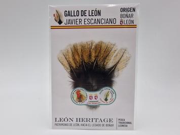 Coq de Leon Pardo Bronze Riñón Back - Golden Light