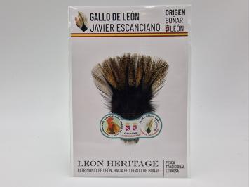 Coq de Leon Pardo Bronze Riñón Back - Golden Dark