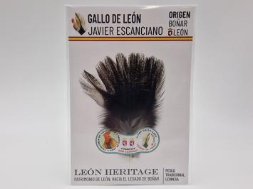 Coq de Leon Pardo Silver Riñón Back - Corzuno Dark