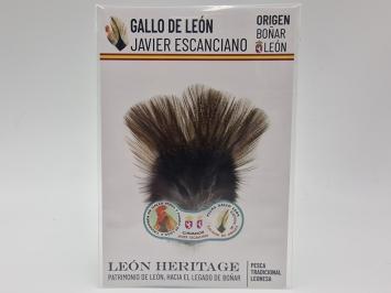 Coq de Leon Pardo Silver Riñón Back - Golden Dark
