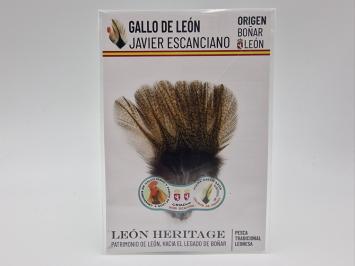 Coq de Leon Pardo Silver Riñón Back - Golden Light
