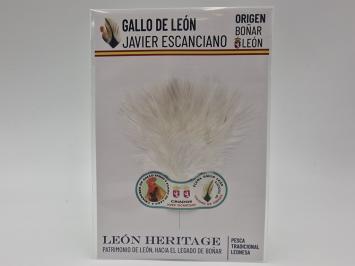 Coq de Leon Indio Bronze Riñón Back - White ( Pure & YL )