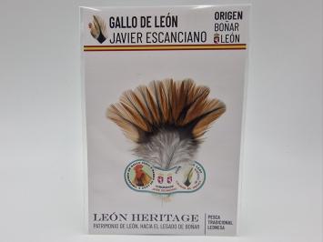Coq de Leon Indio Bronze Riñón Back - Ginger Light