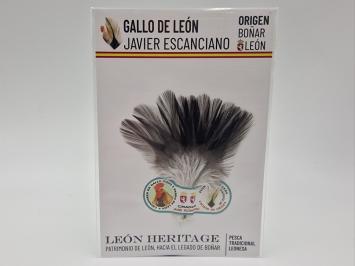 Coq de Leon Indio Bronze Riñón Back - Black