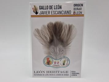 Coq de Leon Indio Bronze Short Saddle - Steely Light