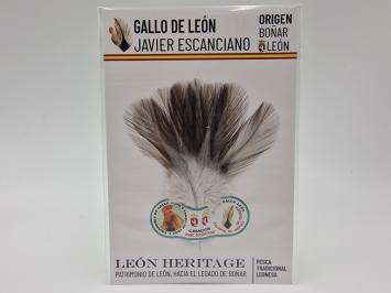 Coq de Leon Indio Bronze Short Saddle - Steely Medium
