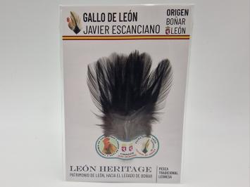 Coq de Leon Indio Bronze Short Saddle - Black