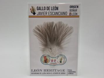 Coq de Leon Indio Silver Short Saddle - Steely Light