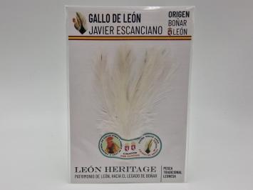 Coq de Leon Indio Silver Short Saddle - White