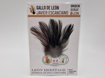 Coq de Leon Indio Silver Short Saddle - Black