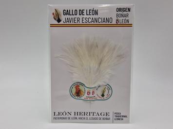 Coq de Leon Indio Silver Riñón Back - White ( Pure & YL )