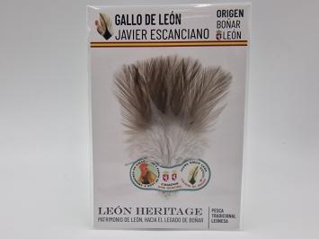 Coq de Leon Indio Silver Riñón Back - Steely Light