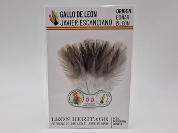 Coq de Leon Indio Silver Riñón Back - Steely Medium