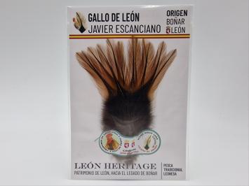 Coq de Leon Pardo Silver Short Saddle - Brown Light