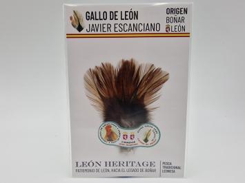 Coq de Leon Pardo Bronze Riñón Back - Brown Medium