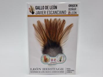 Coq de Leon Pardo Bronze Short Saddle - Brown Light