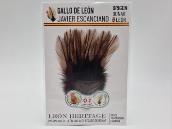Coq de Leon Pardo Bronze Short Saddle - Brown Dark