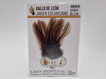 Coq de Leon Pardo Silver Short Saddle - Brown Dark
