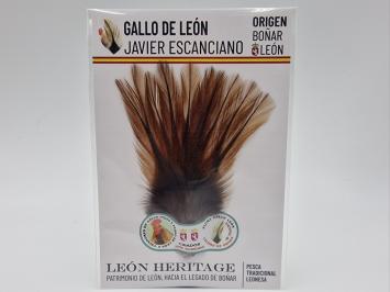 Coq de Leon Pardo Silver Short Saddle - Brown Medium