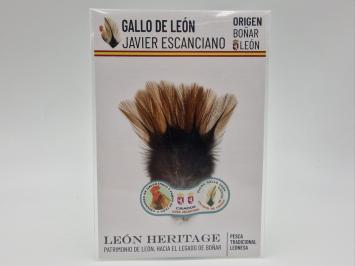Coq de Leon Pardo Bronze Riñón Back - Brown Light