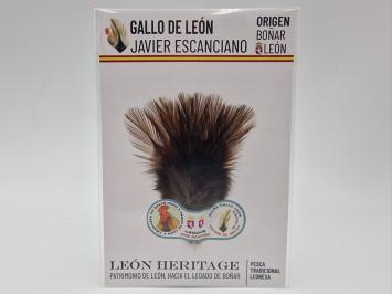 Coq de Leon Pardo Bronze Riñón Back - Brown Dark