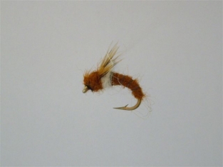 Size 12 Caddis