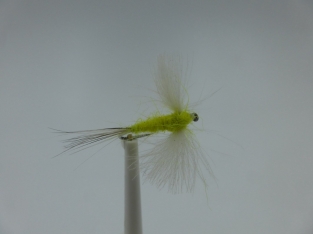 Size 16 CDC Sulphur Spinner Barbless