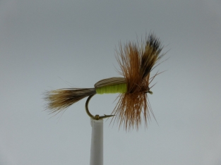 Size 12 Humphy - Chartreuse