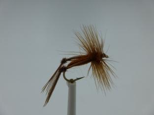 Size 12 Brown Hopper