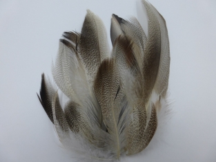 Mallard Flank Feathers Natural Mix