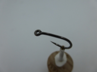 Carp Reversed Size 6 Barbless