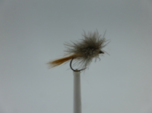 Size 16 CDC Mayfly Brown Barbless