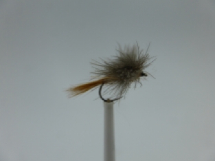 Size 16 CDC Mayfly Spent Brown Barbless