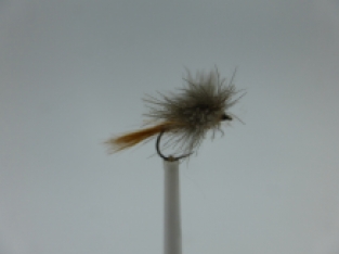 Size 14 CDC Mayfly Brown Barbless