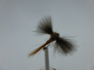 Size 14 CDC Mayfly Brown Barbless