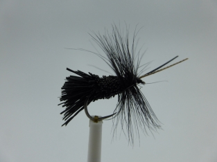 Size 10 Goddard Caddis Black  Barbless