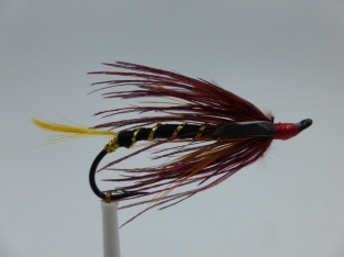 Size 6 Tyne Toucan Single