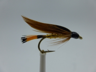 Size 8 Cinnamon & Gold Wet