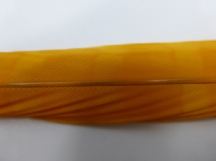 Pheasant Tail Sunburst 50-55 cm