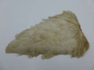 Hen Cape Cream