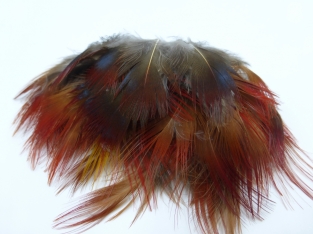 Golden Pheasant Breast Feathers